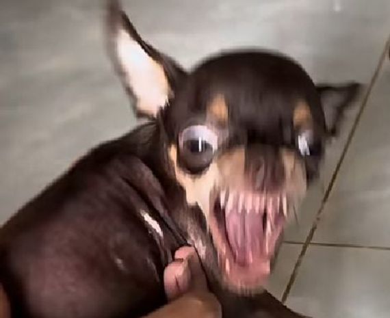 แชท หาเพื่อนคุย  ที่อยู่  เชียงใหม่