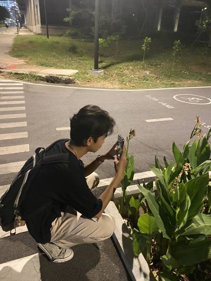 chat looking for friends 