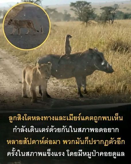 แชท หาเพื่อนคุย  ที่อยู่ กรุงเทพมหานคร