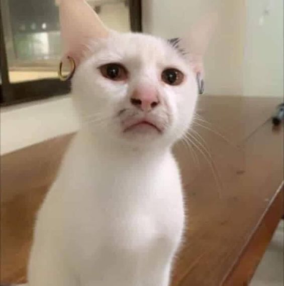 แชท หาเพื่อนคุย, หากิ๊ก 