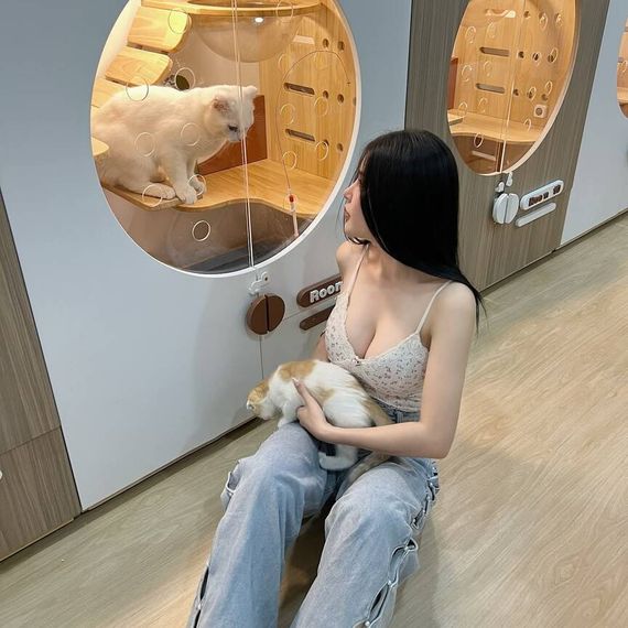 แชท หาเพื่อนคุย 