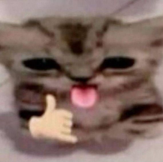 chat looking for friends 