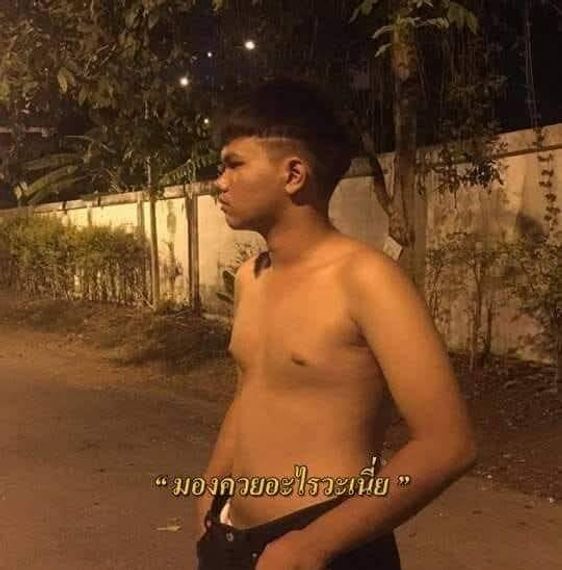 แชท หาเพื่อนคุย 
