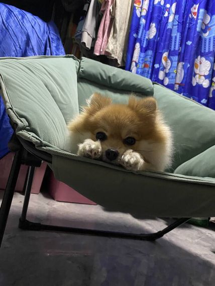 chat looking for friends 