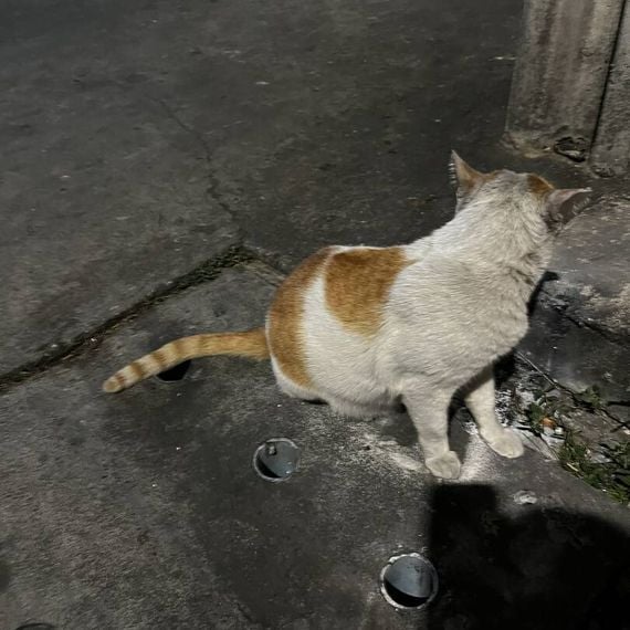 แชท หาเพื่อนคุย, หาเพื่อนเที่ยว