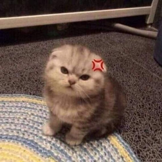 แชท หาเพื่อนคุย  ที่อยู่  สมุทรปราการ