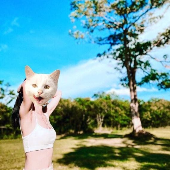 แชท หากิ๊ก