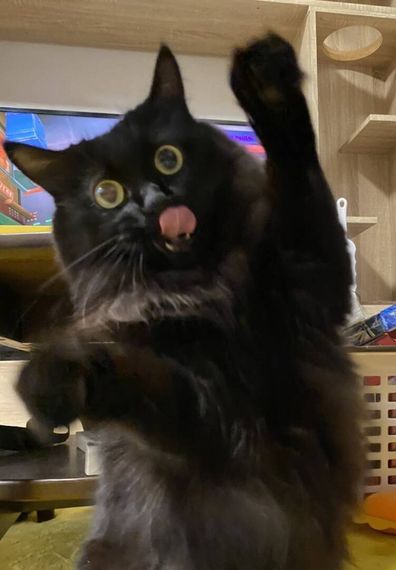 แชท หาเพื่อนคุย 