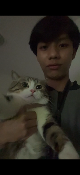chat find love, single  from Bangkok