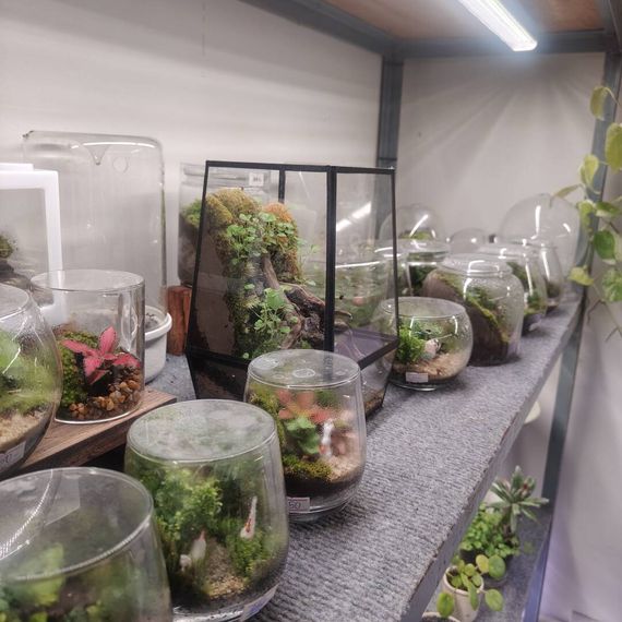 แชท หาเพื่อนเที่ยว 