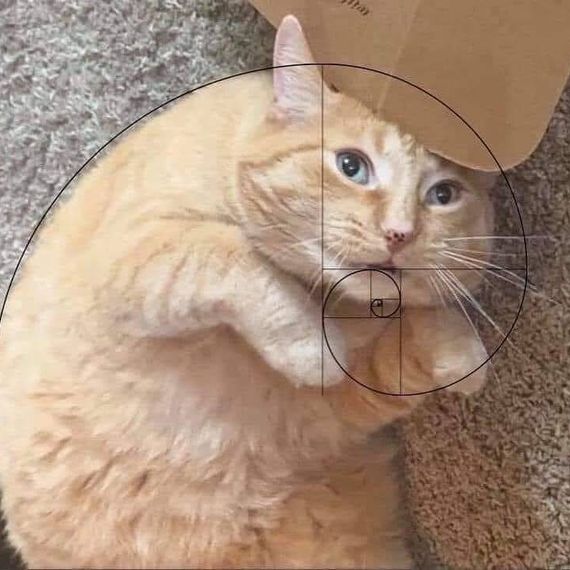 แชท หาแฟน, หาเพื่อนคุย  ที่อยู่ กรุงเทพมหานคร