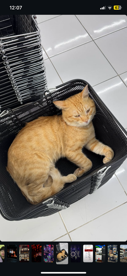 แชท หาแฟน, หาเพื่อนคุย 