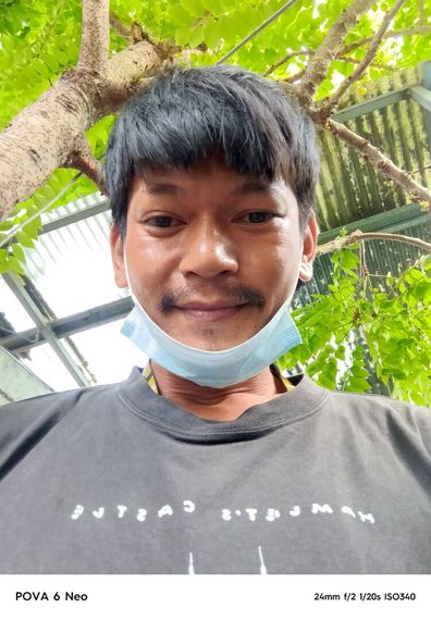แชท โสด 