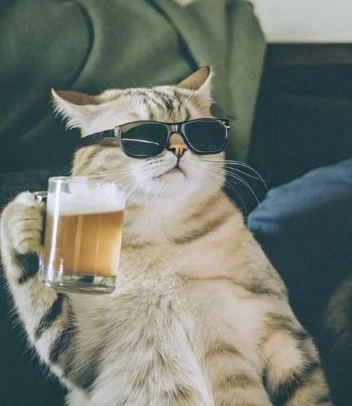 chat looking for friends