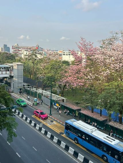 chat looking for friends 