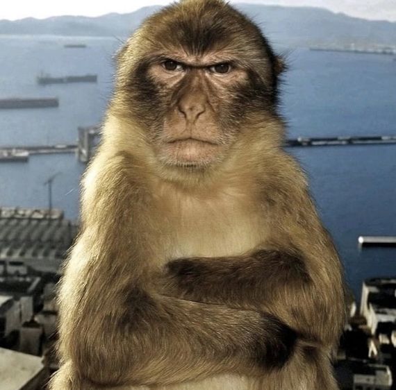 แชท หาเพื่อนไลน์ 