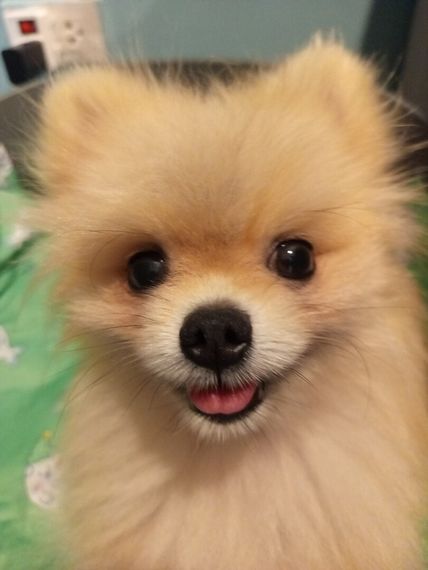 chat looking for friends 
