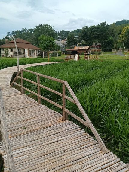 แชท หาแฟน, หาเพื่อนคุย 