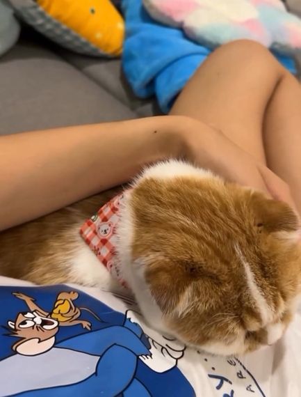 chat looking for friends 