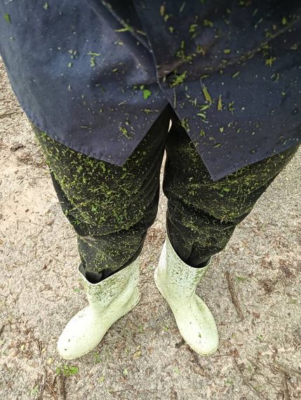 chat looking for friends 