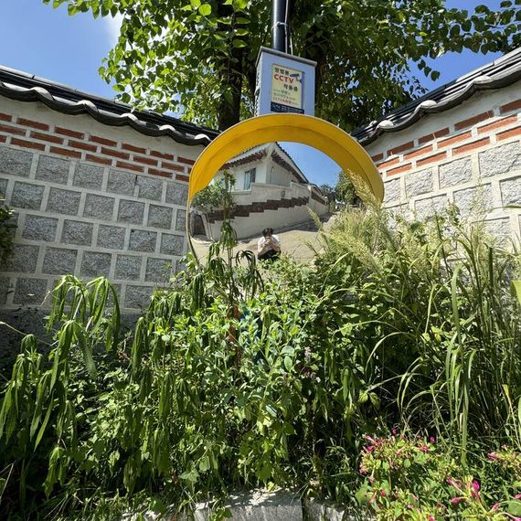 แชท หาเพื่อนคุย, โสด 