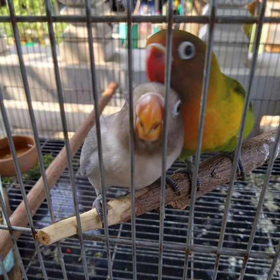 แชท หาเพื่อนคุย 