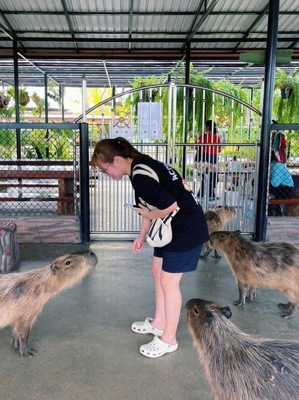 chat find love, chat  from Pathum Thani