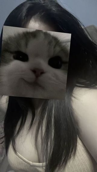 chat chat 