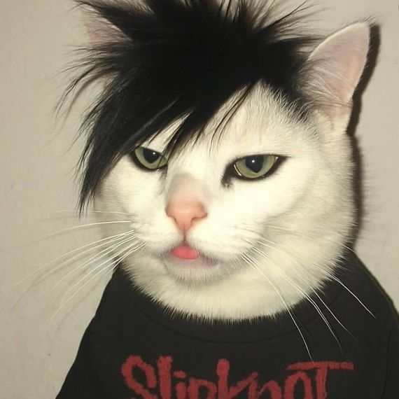 แชท หาเพื่อนไลน์ 