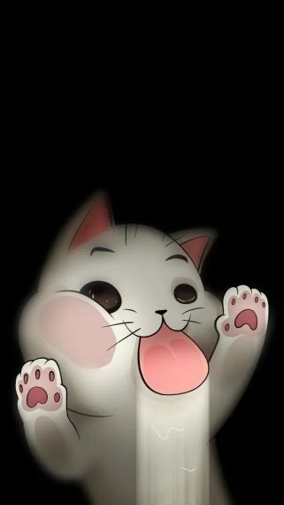 chat looking for friends 