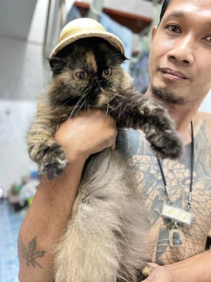 แชท หาเพื่อนคุย 