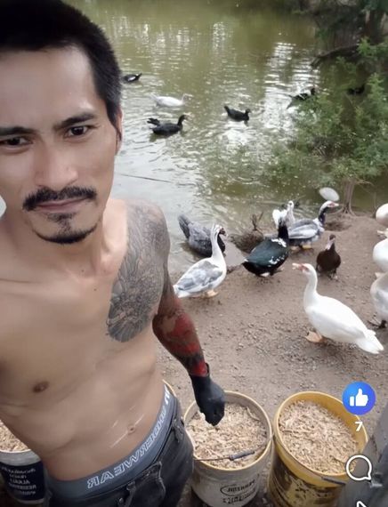 แชท หาเพื่อนคุย 