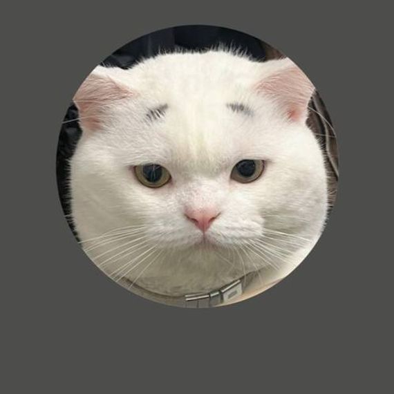 แชท หาเพื่อนคุย, หากิ๊ก 
