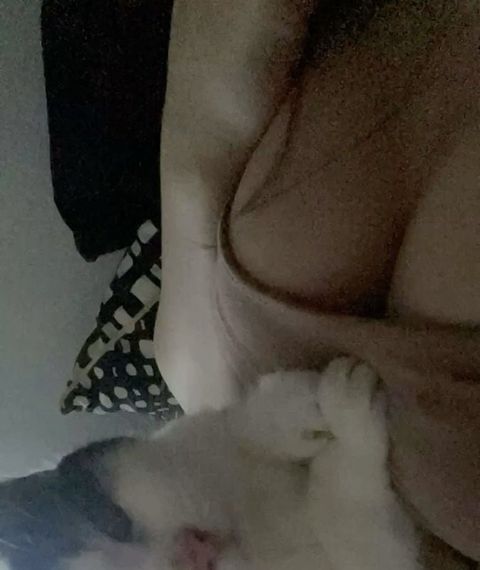 chat looking for friends 