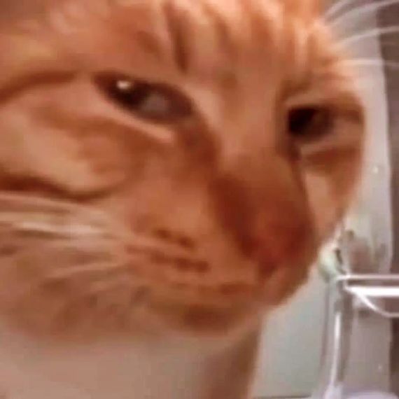 แชท หาเพื่อนคุย, หาเพื่อนเที่ยว 