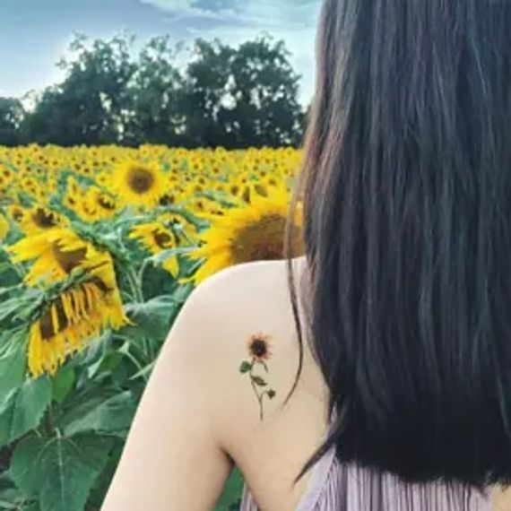 chat looking for friends 