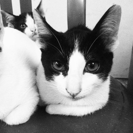 แชท หาแฟน, หาเพื่อนคุย 