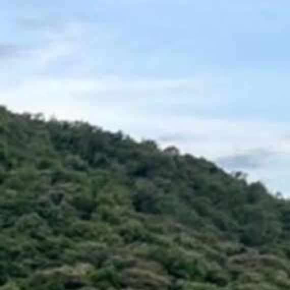 แชท แชทเปิดกล้อง 