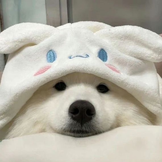 แชท หาเพื่อนคุย, นัดเจอ  ที่อยู่ กรุงเทพมหานคร