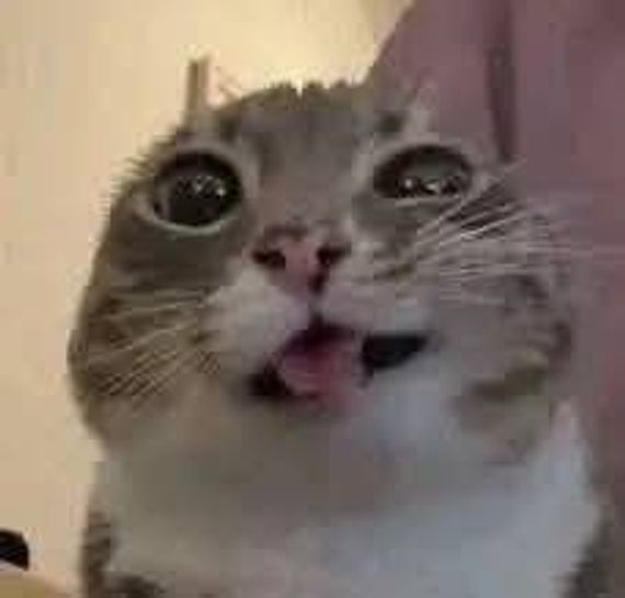 แชท หาแฟน, หาเพื่อนคุย  ที่อยู่  สมุทรสาคร