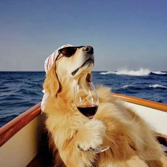 แชท หาแฟน, หาเพื่อนคุย 