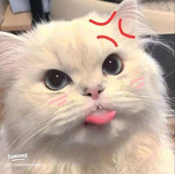 แชท โสด, แชทเปิดกล้อง  ที่อยู่  ขอนแก่น