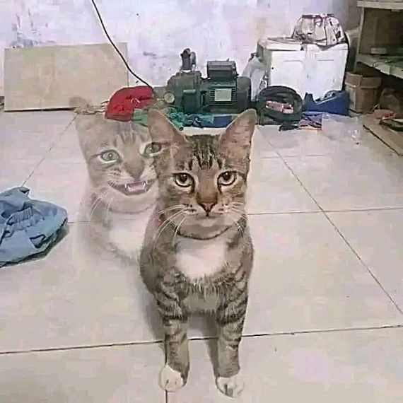 chat single  from Bangkok