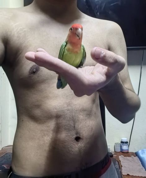แชท หาเพื่อนคุย 