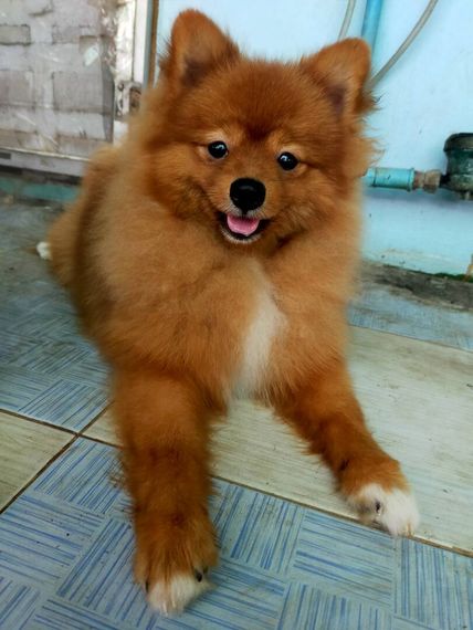 แชท หาเพื่อนเที่ยว, หากิ๊ก  ที่อยู่  ฉะเชิงเทรา
