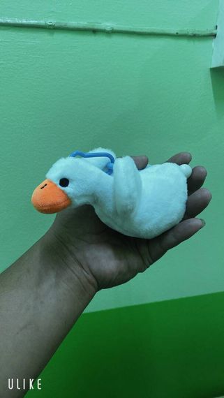 แชท โสด  ที่อยู่ กรุงเทพมหานคร