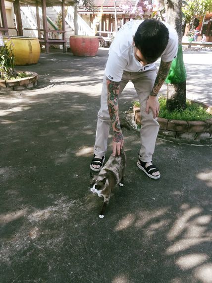 แชท หาเพื่อนคุย, โสด  ที่อยู่  นครปฐม