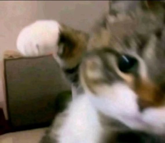 chat looking for friends 