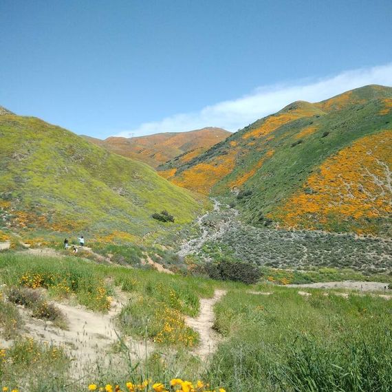 แชท หาเพื่อนคุย, หาเพื่อนเที่ยว  ที่อยู่ กรุงเทพมหานคร