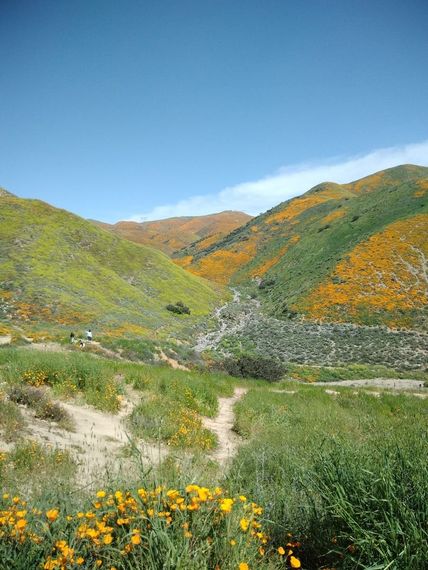 แชท หาเพื่อนคุย, หาเพื่อนเที่ยว  ที่อยู่ กรุงเทพมหานคร